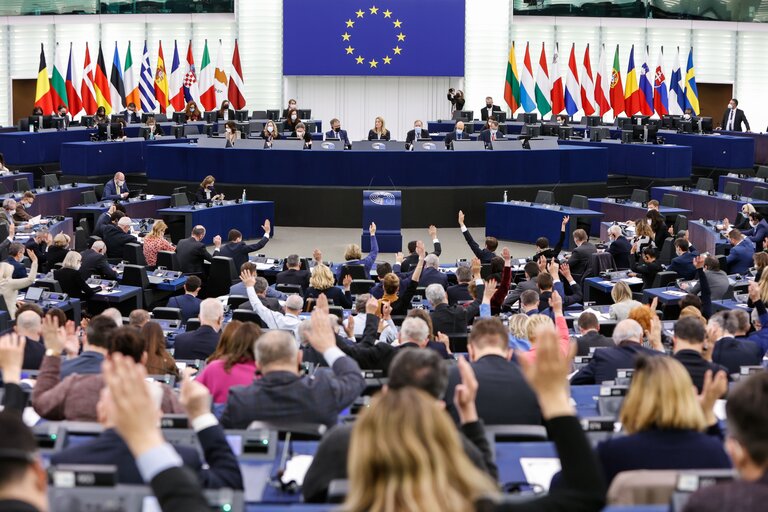 Foto 10: EP Plenary session - Voting session