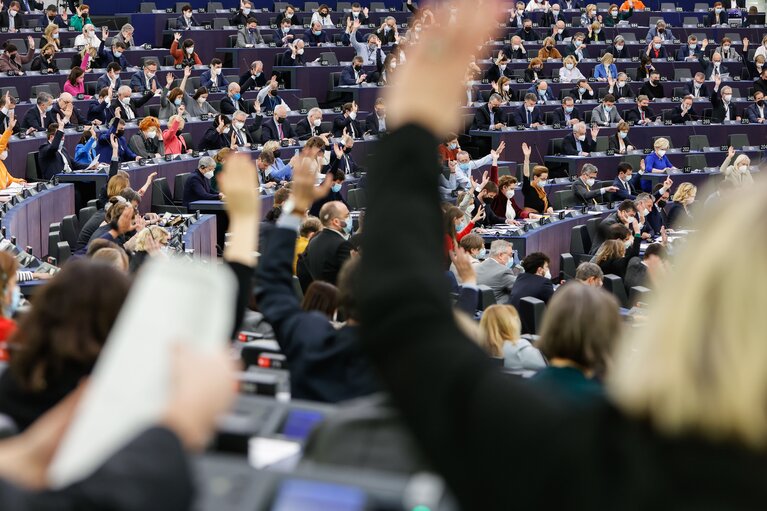 Nuotrauka 17: EP Plenary session - Voting session