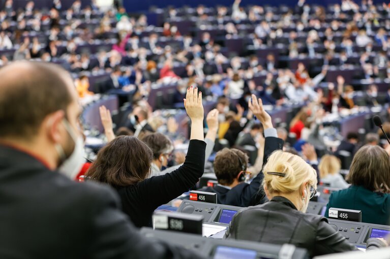 Foto 15: EP Plenary session - Voting session