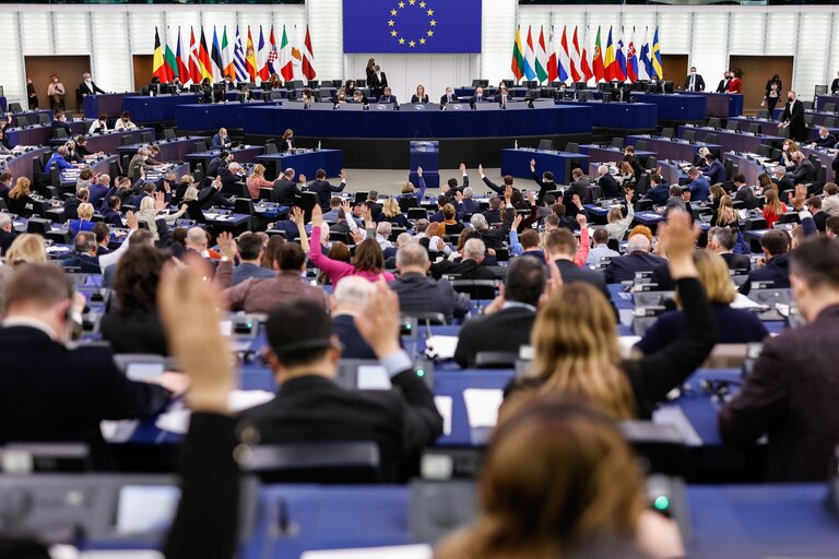 Foto 7: EP Plenary session - Voting session