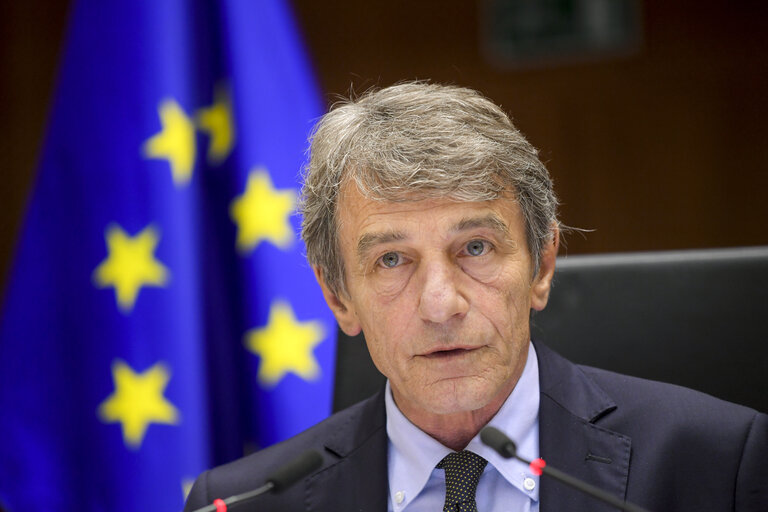 Photo 2: EP Plenary session - Announcement of the result