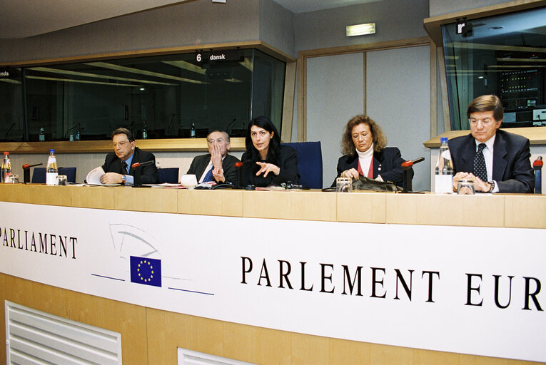 Foto 2: Press conference at the EP in Brussels