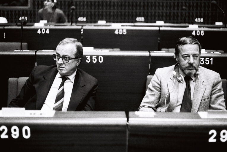 The MEP Rudolf LUSTER during a session in Strasbourg in July 1980.