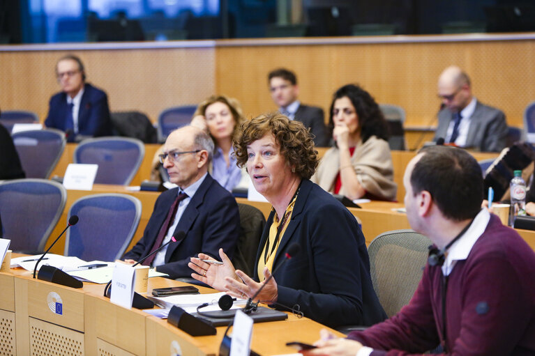 Foto 8: Meeting of the EP Conference of Committee Chairs with David SASSOLI, EP President in visio conference working from home