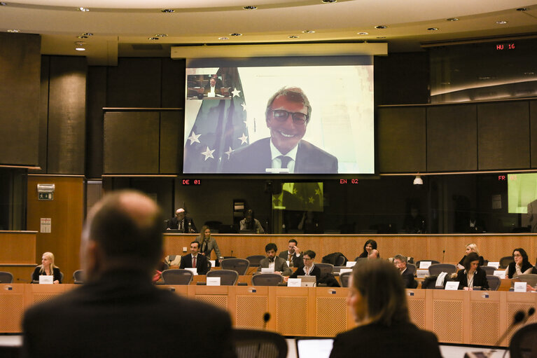 Meeting of the EP Conference of Committee Chairs with David SASSOLI, EP President in visio conference working from home