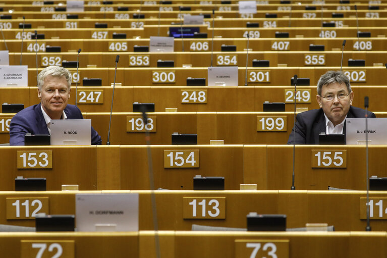 EP Extraordinary Plenary session - Announcement of the results of the votes on amendments