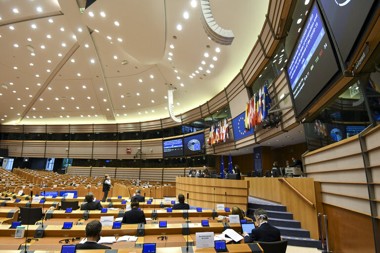 Fotografie 13: Plenary Session - The EU's public health strategy post COVID-19