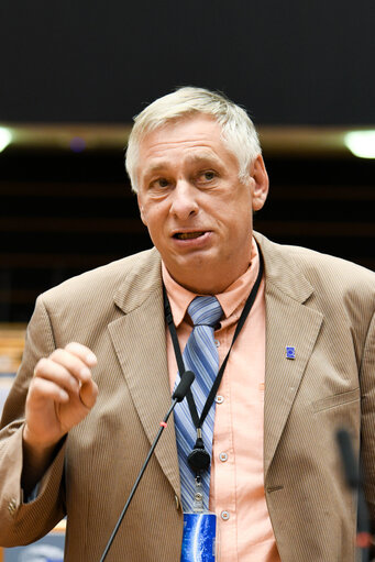 EP Plenary session - Implementation of the EU Association Agreement with Georgia