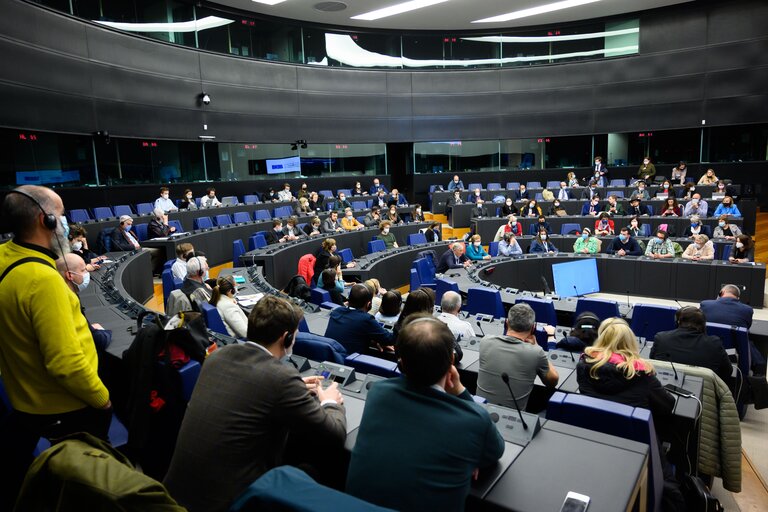 Fotografie 10: Conference on the Future of Europe - Caucus/citizens component