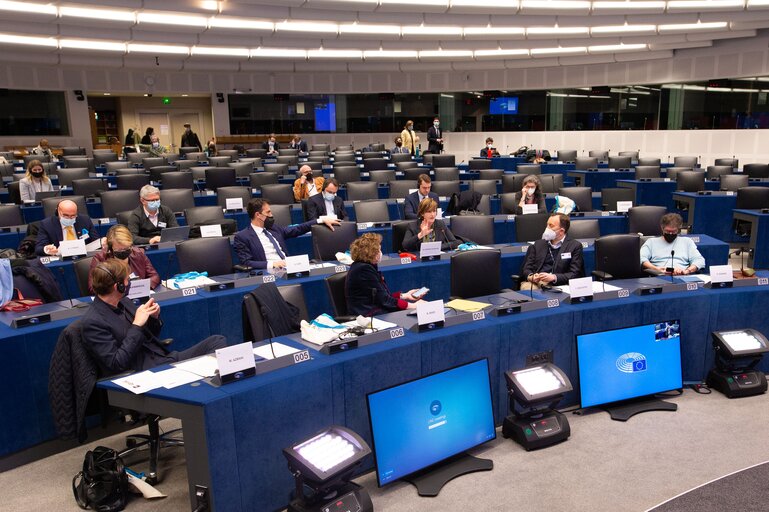 Fotografi 36: Conference on the Future of Europe -Caucus/citizens component