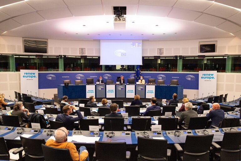 Φωτογραφία 32: Conference on the Future of Europe -Caucus/citizens component