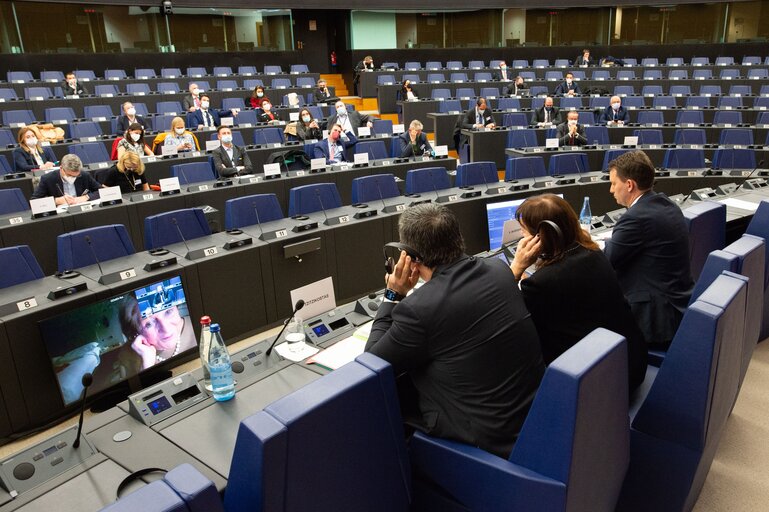 Fotografi 26: Conference on the Future of Europe -Caucus/citizens component