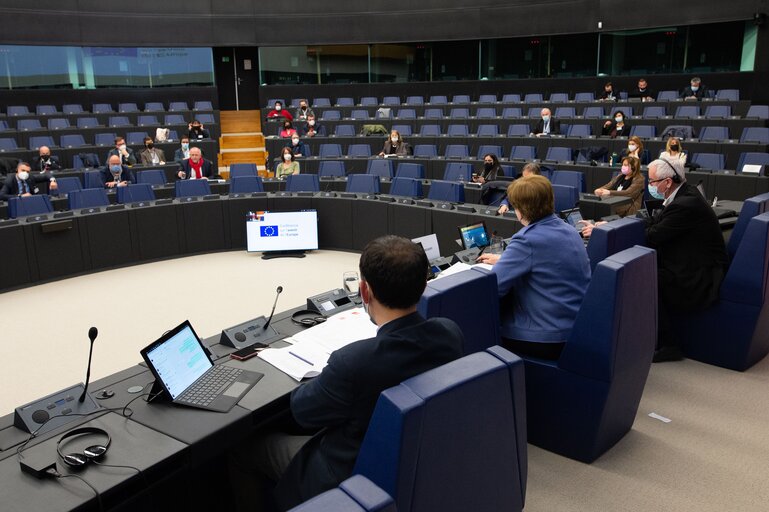 Fotogrāfija 21: Conference on the Future of Europe -Caucus/citizens component