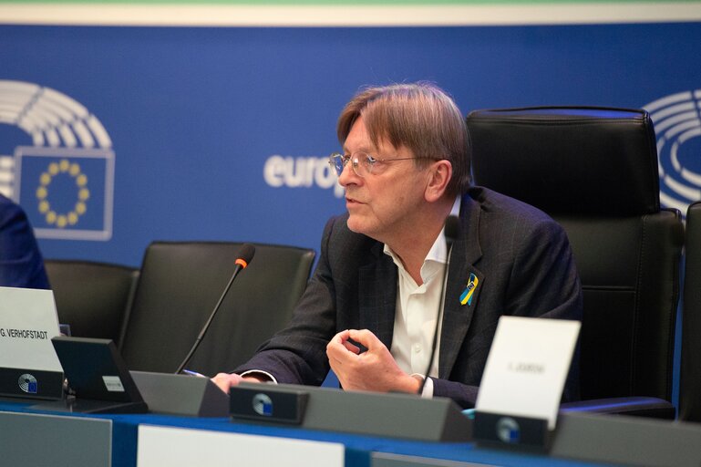 Fotografie 35: Conference on the Future of Europe -Caucus/citizens component