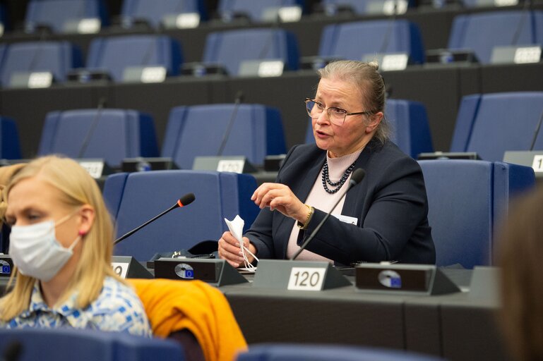 Φωτογραφία 28: Conference on the Future of Europe -Caucus/citizens component