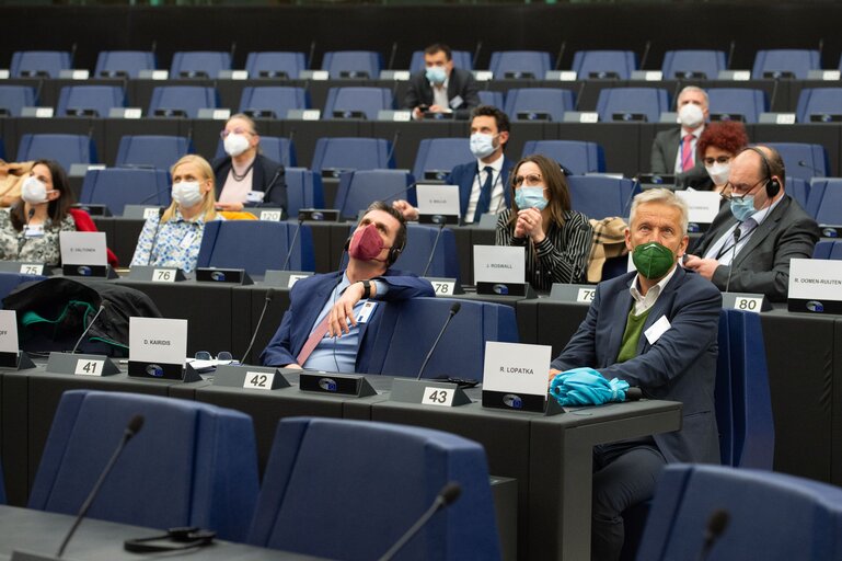 Fotografie 27: Conference on the Future of Europe -Caucus/citizens component