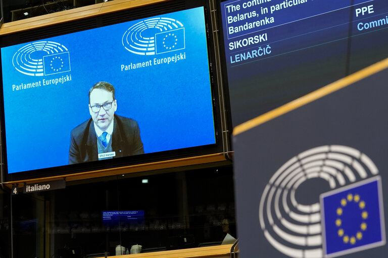 EP Plenary session - The continuous violations of human rights in Belarus, in particular the murder of Raman Bandarenka
