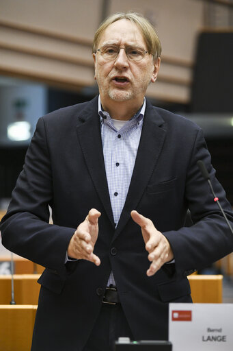 Снимка 34: EP Plenary session - EU Trade Policy Review