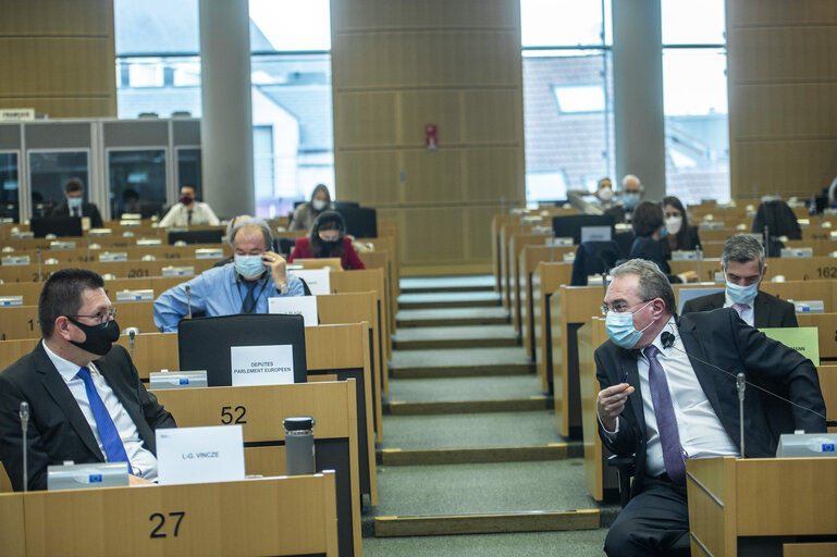 Foto 8: Public Hearing - European Citizens' Initiative: “Minority Safepack”