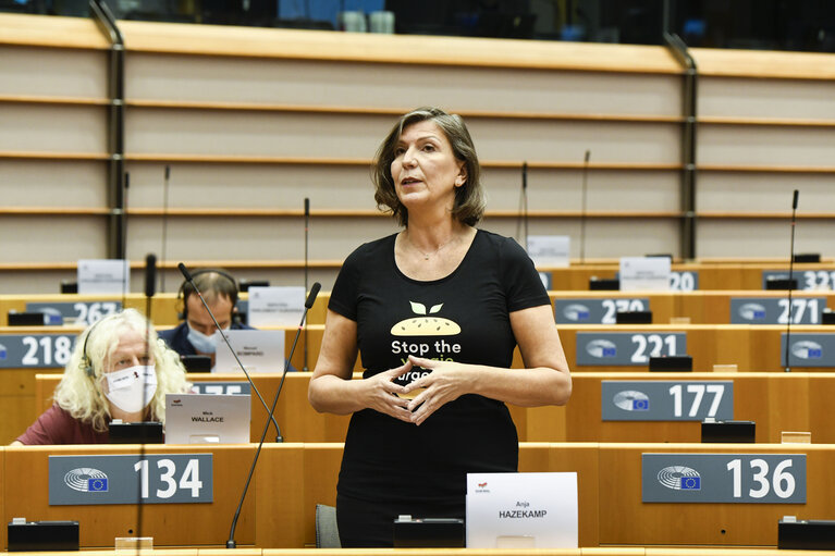 EP Plenary session- Joint debate - Common agricultural policy (CAP)