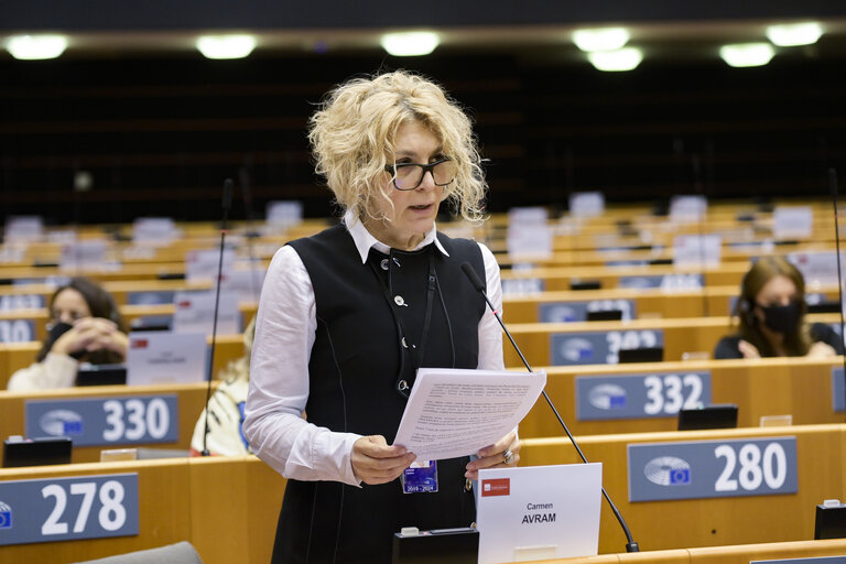 Φωτογραφία 9: EP Plenary session - The European Forest Strategy - The Way Forward