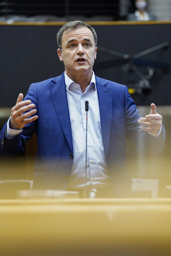 EP Plenary session - The European Forest Strategy - The Way Forward