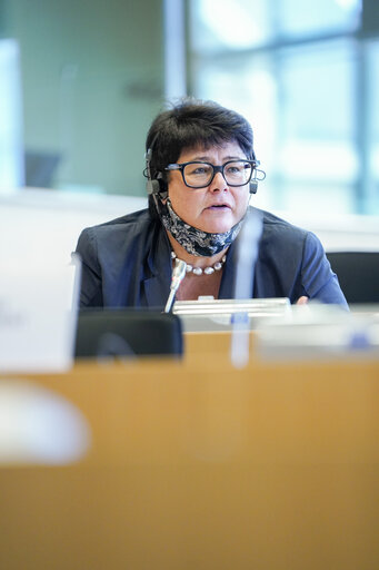 Conference of Committee Chairs (CCC) on Multiannual Financial Framework-Own Resources Contact Group with David SASSOLI EP President (in video)