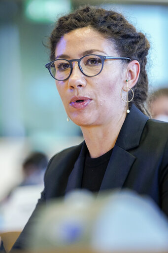 Conference of Committee Chairs (CCC) on Multiannual Financial Framework-Own Resources Contact Group with David SASSOLI EP President (in video)
