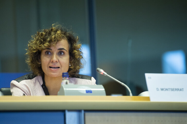 Foto 17: Public Hearing - European Citizens' Initiative: “Minority Safepack”