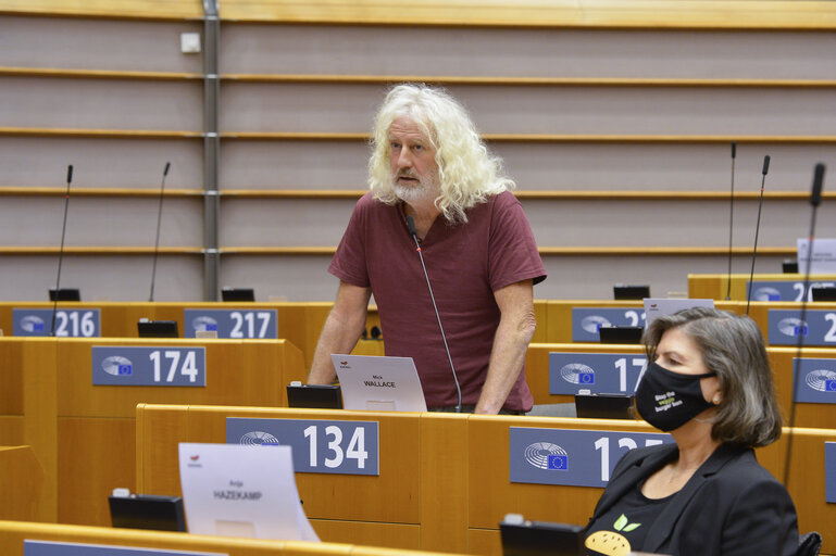 Fotografie 12: EP Plenary session - Joint debate - Common agricultural policy (CAP)