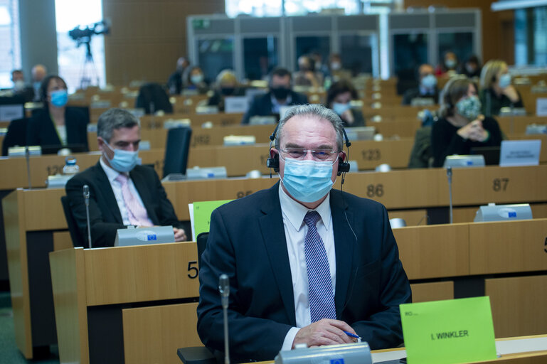 Foto 5: Public Hearing - European Citizens' Initiative: “Minority Safepack”