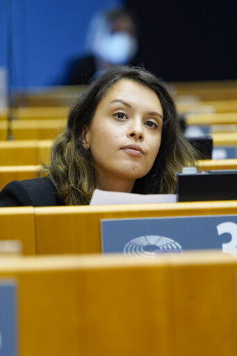 Nuotrauka 17: EP Plenary session - The European Forest Strategy - The Way Forward