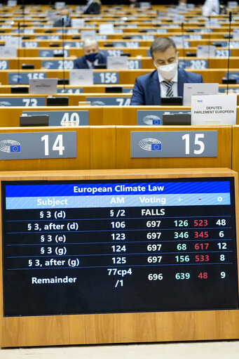 EP Plenary session - Announcement of the results of the voting session (06/10) -  Mandates for interinstitutional negotiations