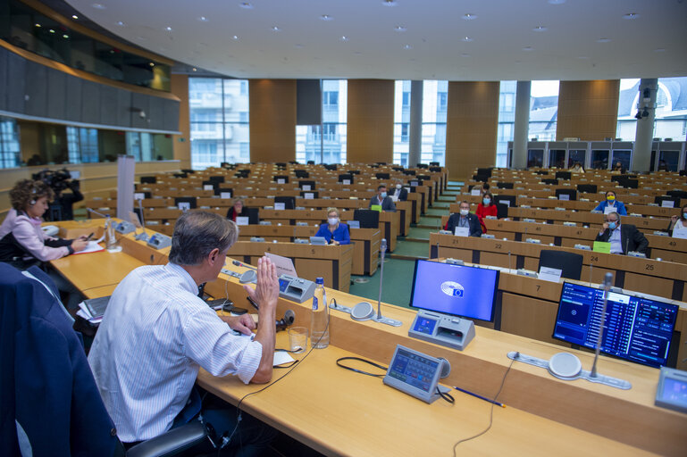 Foto 12: Public Hearing - European Citizens' Initiative: “Minority Safepack”