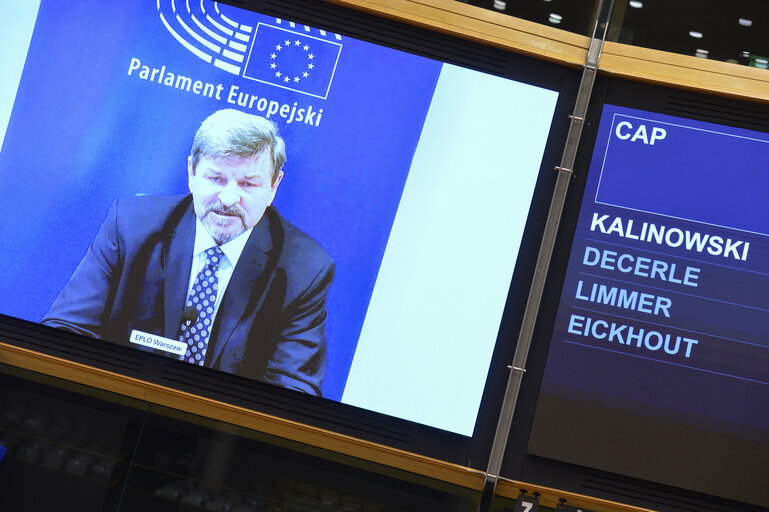 EP Plenary session - Joint debate - Common agricultural policy (CAP)