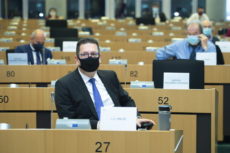 Foto 9: Public Hearing - European Citizens' Initiative: “Minority Safepack”