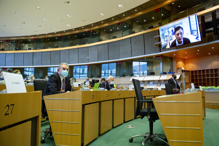 Foto 16: Public Hearing - European Citizens' Initiative: “Minority Safepack”