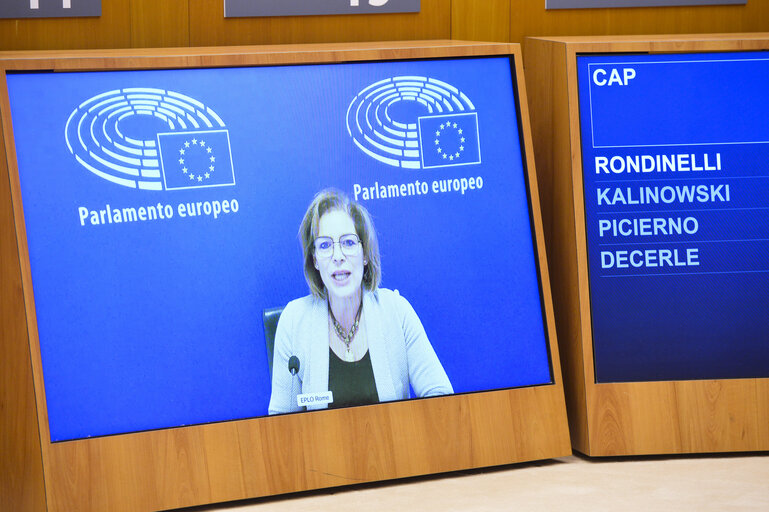 Photo 11: EP Plenary session - Joint debate - Common agricultural policy (CAP)