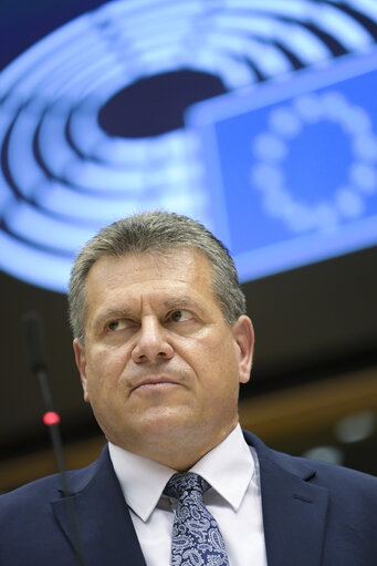 Foto 9: EP Plenary session - The European Forest Strategy - The Way Forward