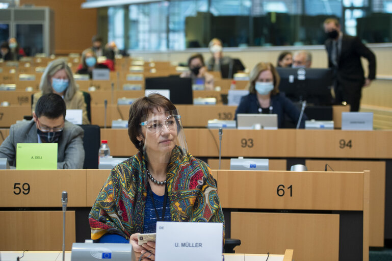 Foto 4: Public Hearing - European Citizens' Initiative: “Minority Safepack”