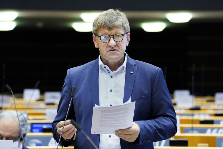 Φωτογραφία 23: EP Plenary session - The European Forest Strategy - The Way Forward