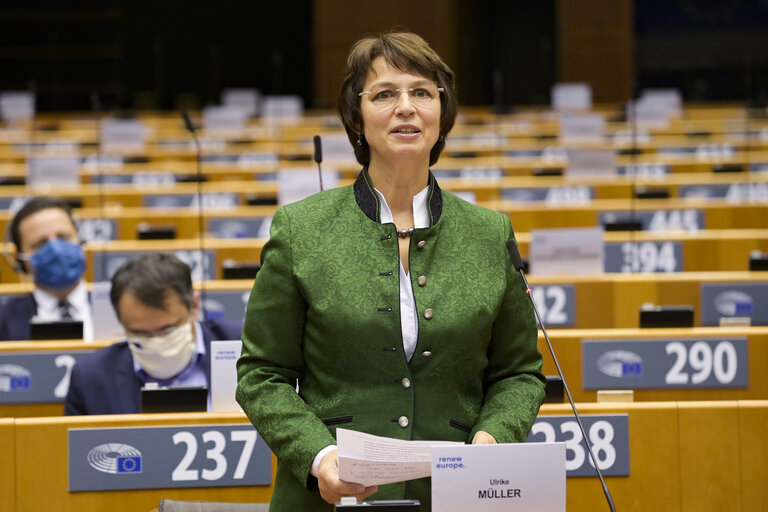 EP Plenary session - The European Forest Strategy - The Way Forward