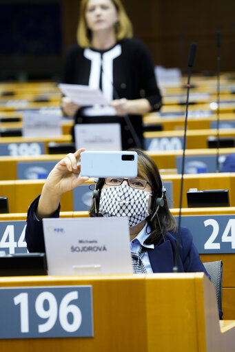 Φωτογραφία 38: EP Plenary session - The European Forest Strategy - The Way Forward