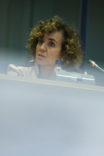 Foto 19: Public Hearing - European Citizens' Initiative: “Minority Safepack”