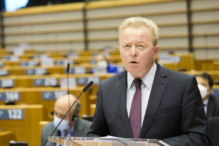 EP Plenary session - The European Forest Strategy - The Way Forward