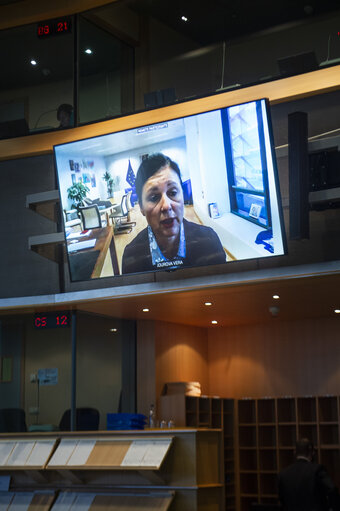 Foto 15: Public Hearing - European Citizens' Initiative: “Minority Safepack”