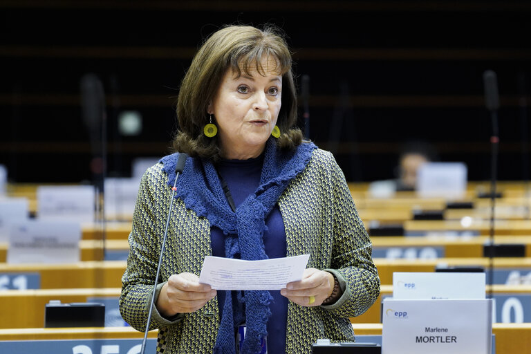 Foto 8: EP Plenary session - The European Forest Strategy - The Way Forward