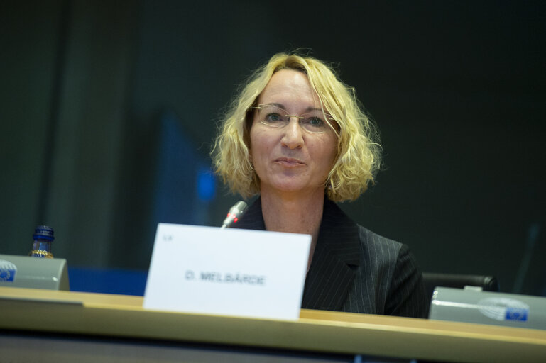 Foto 20: Public Hearing - European Citizens' Initiative: “Minority Safepack”