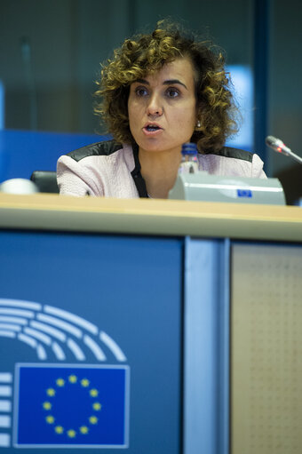 Foto 18: Public Hearing - European Citizens' Initiative: “Minority Safepack”