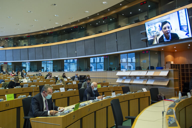 Foto 14: Public Hearing - European Citizens' Initiative: “Minority Safepack”